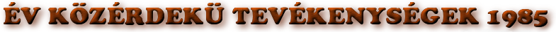 Rok zájmových aktivit 1985
