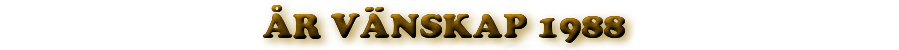 Rok morálních hodnot a přátelství 1988