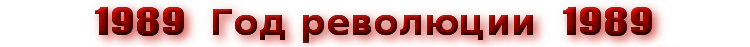 Revoluční rok 1989