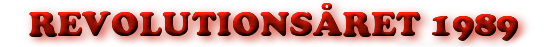 Revoluční rok 1989